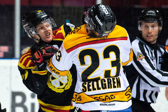 Brynäs Daniel Mannberg och Jesper Sellgren
