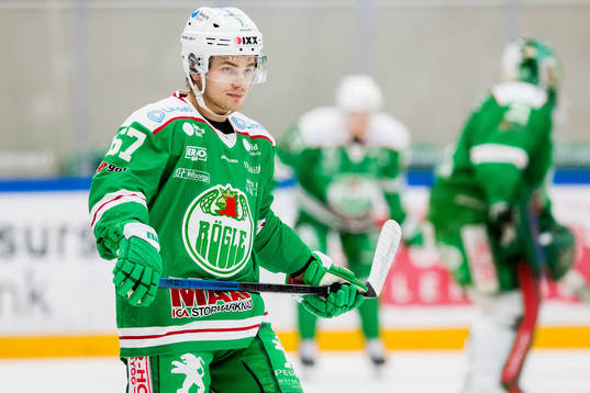 Rögles Leon Bristedt