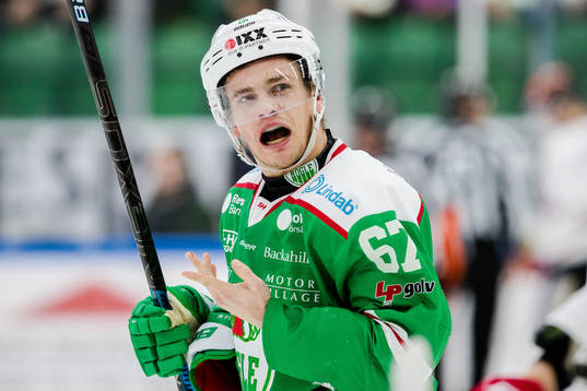 Rögles Leon Bristedt