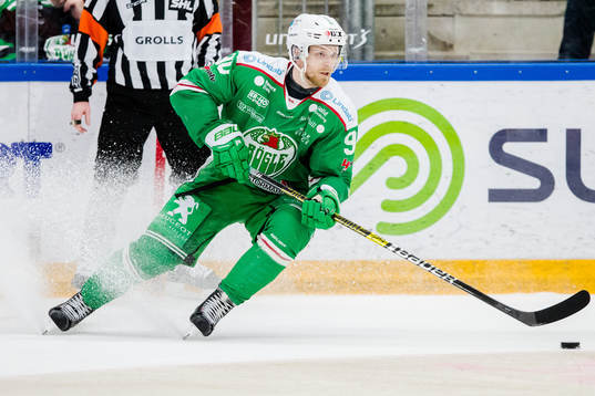 Rögles Ted Brithén