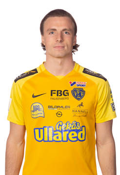 Falkenbergs Carl Johansson