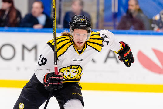 Brynäs Ludvig Nilsson
