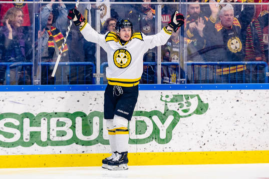 Brynäs Adrian Elefalk jublar