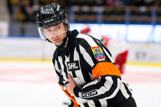 Domare Mikael Andersson