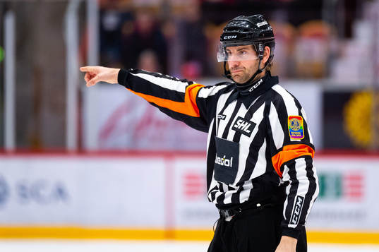 Domare Mikael Sjöqvist