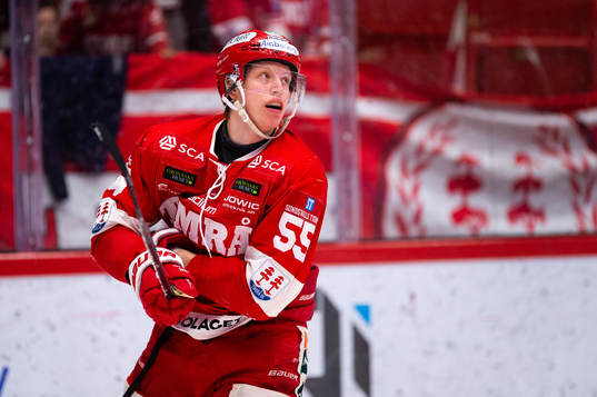 Timrås Vilmos Gallo