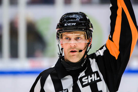 Domare Mikael Nord