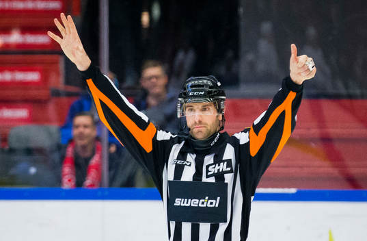 Domare Mikael Sjöqvist