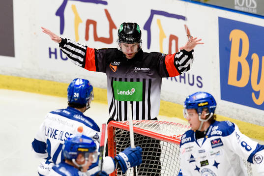 Domare Richard Magnusson