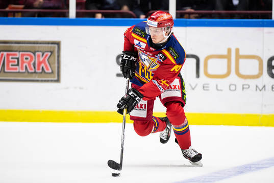 Malmö Redhawks Carl-Johan Lerby
