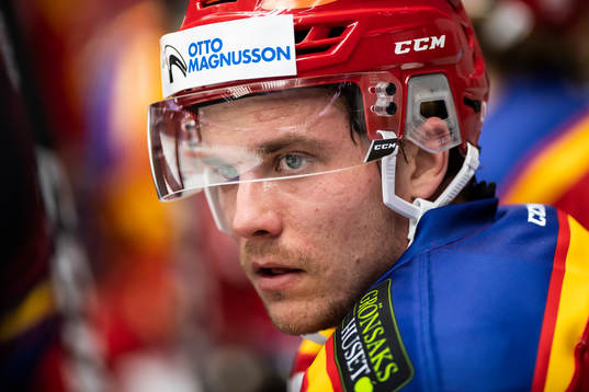 Malmö Redhawks Pontus Netterberg