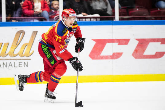 Malmö Redhawks Pontus Netterberg