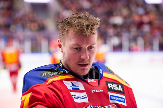 Malmö Redhawks målvakt Lars Volden
