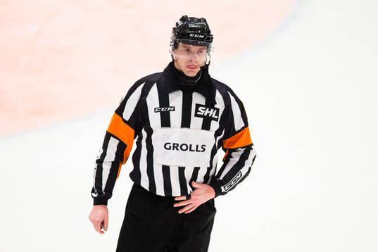 Domare Mikael Andersson