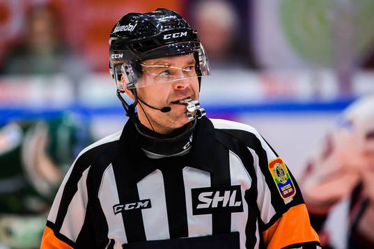 Domare Patrik Sjöberg