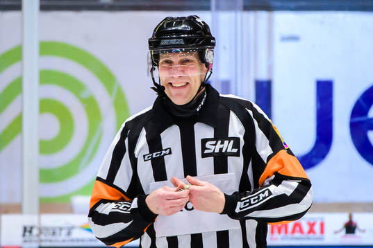 Domare Morgan Johansson