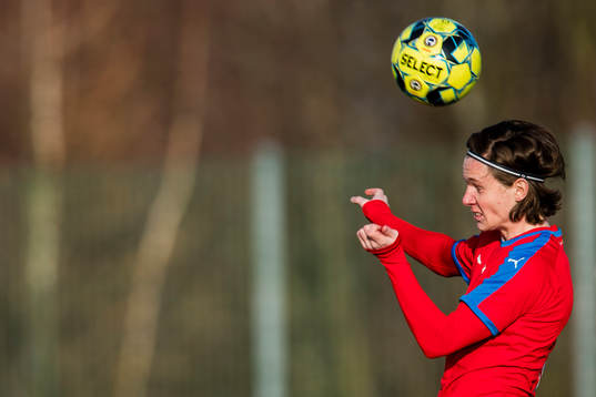 Helsingborgs Max Svensson