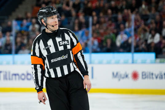 Domare Tobias Björk
