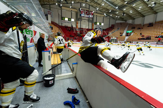 Brynäs Rudolf Cerveny