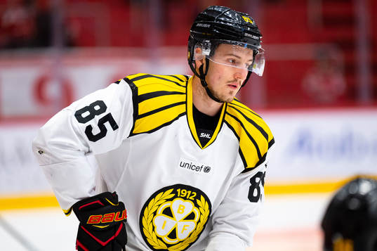 Brynäs Rudolf Cerveny