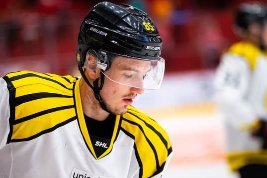 Brynäs Rudolf Cerveny