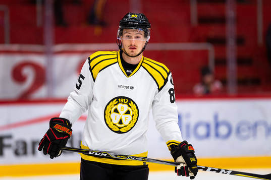 Brynäs Rudolf Cerveny