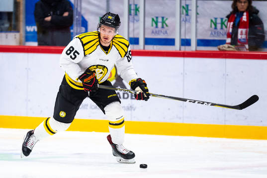 Brynäs Rudolf Cerveny