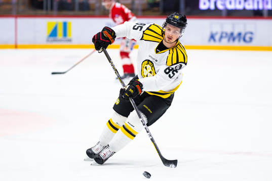 Brynäs Rudolf Cerveny