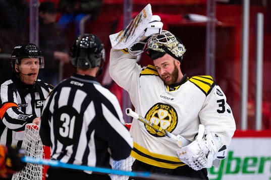 Brynäs målvakt David Rautio diskutera med domaren
