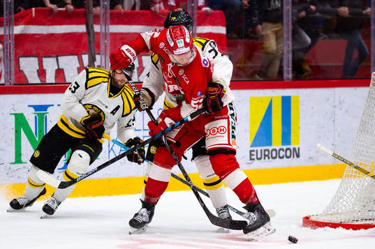 Timrås Johannes Salmonsson och Brynäs Daniel Mannberg