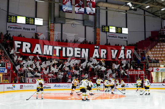 Timråpublikens tifo innan ishockeymatchen i SHL mellan