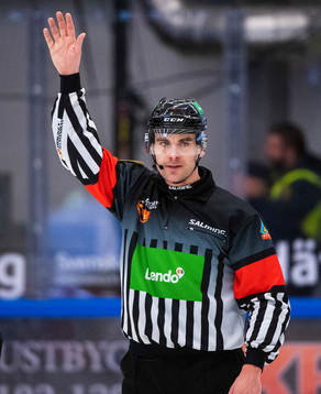 Domare Richard Magnusson