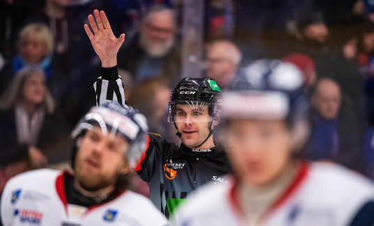 Domare Richard Magnusson
