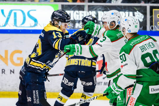 s Oscar Sundh i bråk med Rögles Daniel Bertov