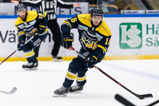 s Markus Ljungh