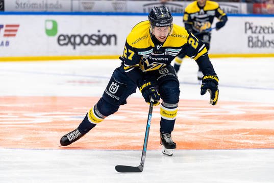 s David Gustafsson