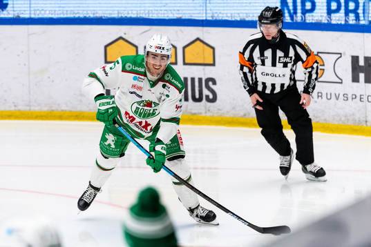 Rögles Alen Bibic