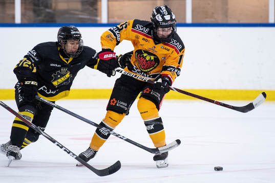 s Gabriella Johansson och Luleås Petra Nieminen