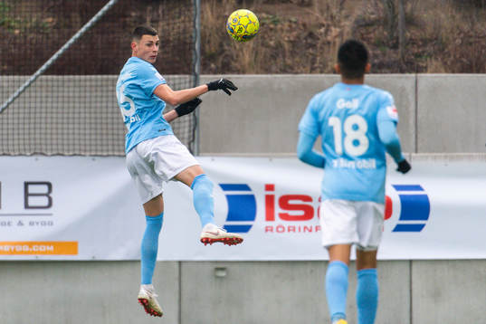 Malmö FFs Anel Ahmedhodzic