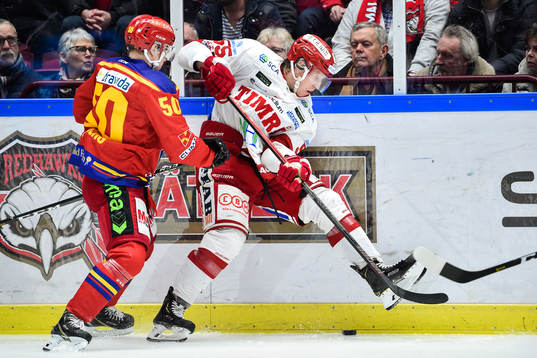 Timrås Vilmos Gallo och Malmö Redhawks Tobias Ekberg