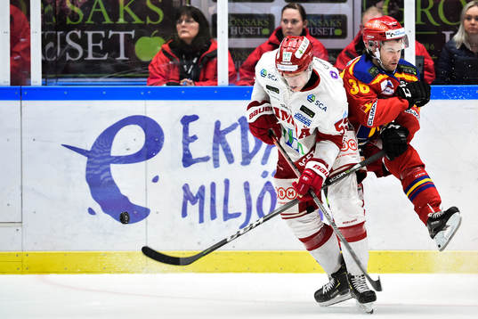 Timrås Vilmos Gallo och Malmö Redhawks Anton Öhman