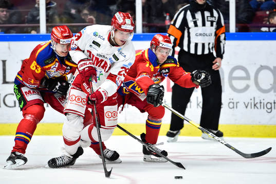 Timrås Morten Madsen