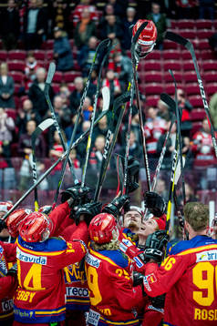Malmö Redhawks jublar