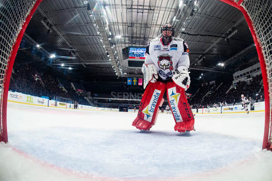 Malmö Redhawks målvakt Oscar Alsenfelt deppar