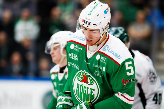 Rögles Alen Bibic deppar