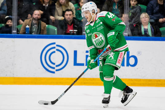 Rögles Olle Liss