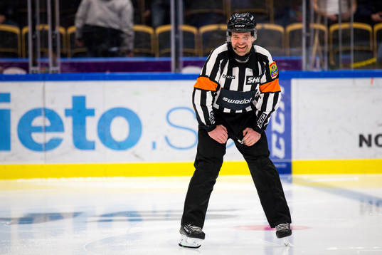 Domare Patrik Sjöberg