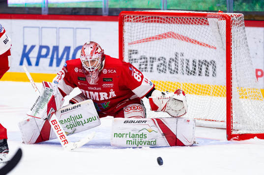 Timrås målvakt Niklas Svedberg