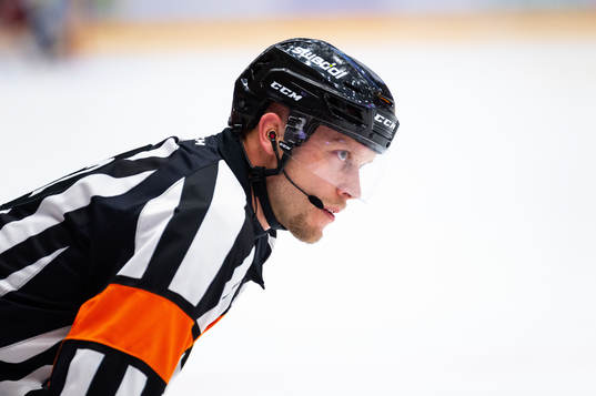 domaren Andreas Harnebrink