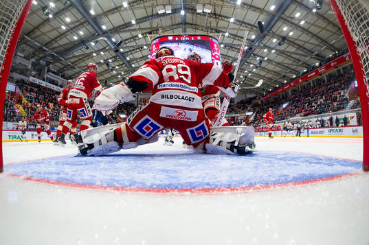 Timrås målvakt Niklas Svedberg